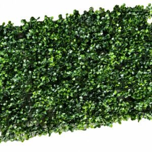 daun dollar artificial