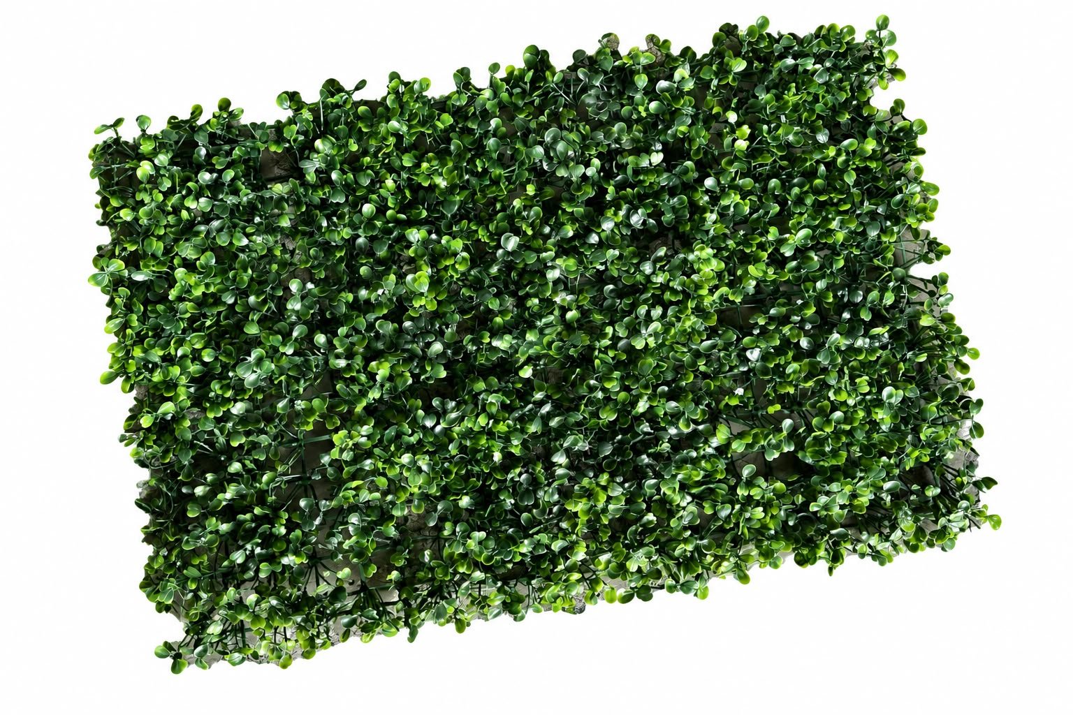 daun artificial daun dollar artificial